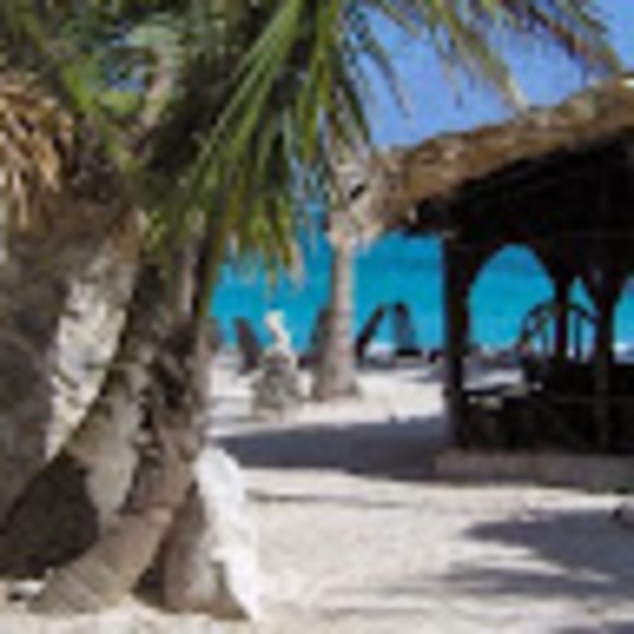 Meet your Posher, Jennifer - Picture 1 of 1